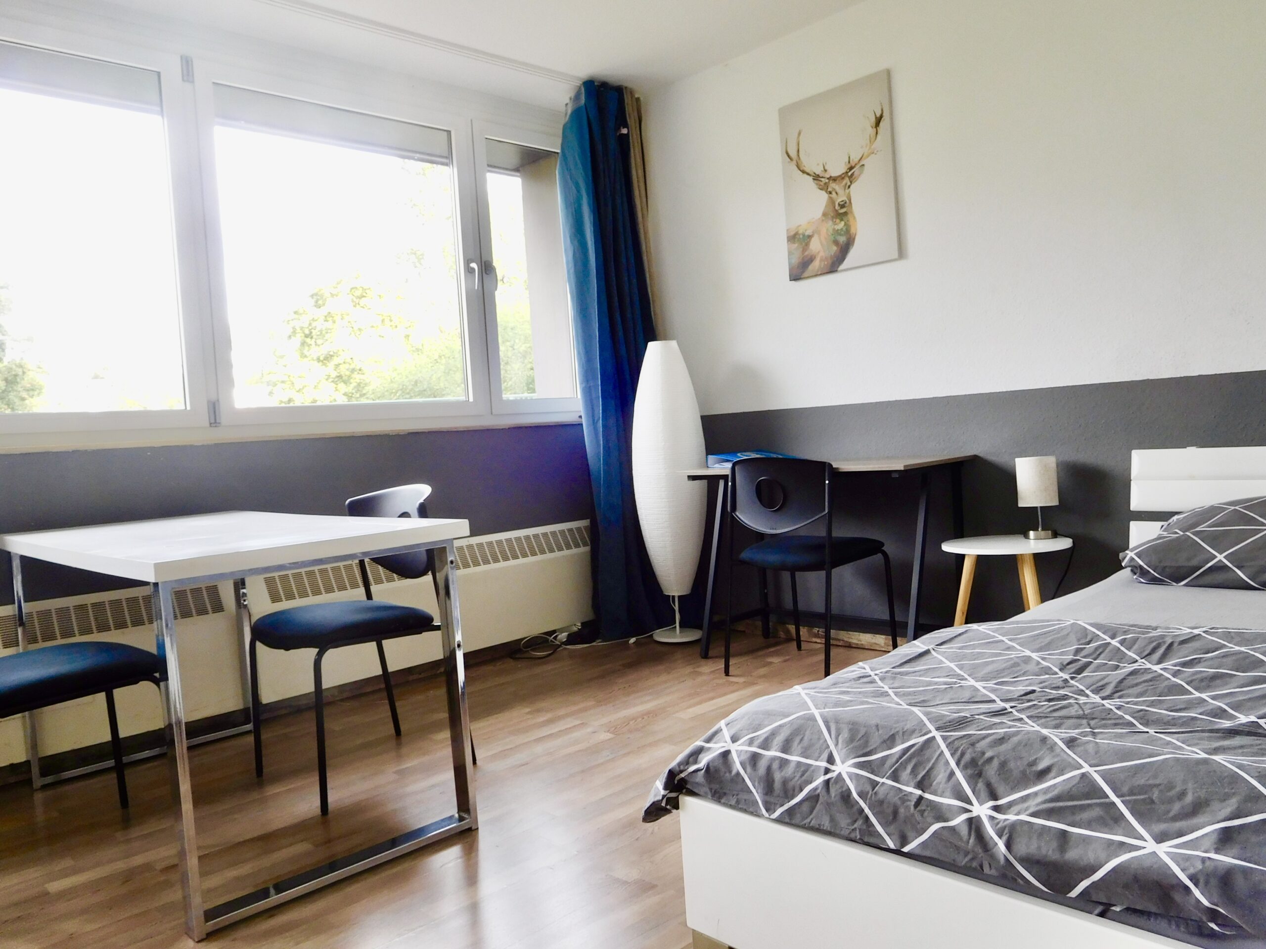 Shared Apartment
